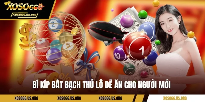 Bí kíp bắt bạch thủ lô dễ ăn cho người mới 