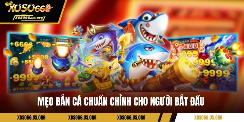 Mẹo bắn cá chuẩn chỉnh cho người bắt đầu 