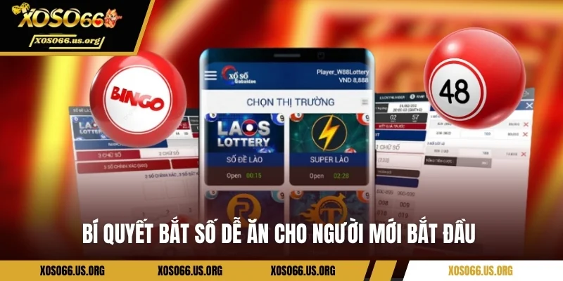 Bí quyết bắt số dễ ăn cho người mới bắt đầu 