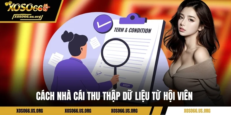 Cách nhà cái thu thập dữ liệu từ hội viên 
