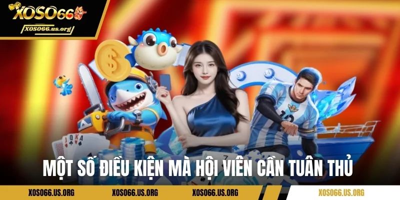 Các điều kiện mà người mới tham gia cần nắm  