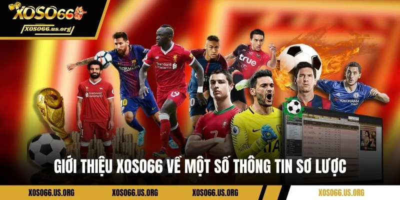 Giới thiệu Xoso66 về một số thông tin sơ lược