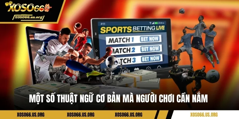 Một số thuật ngữ trong loại kèo này