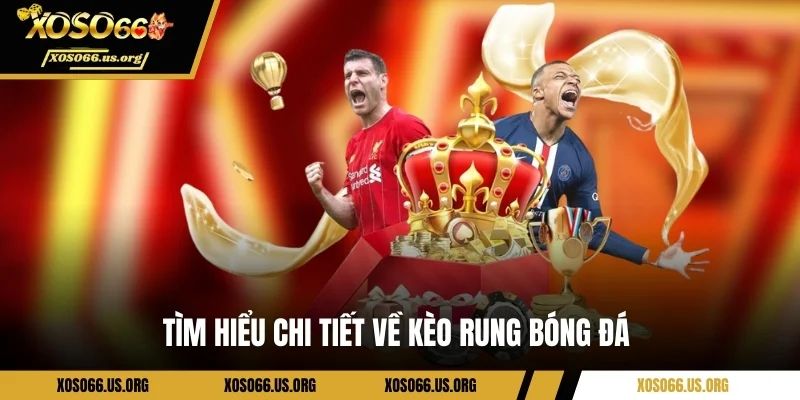 Tìm hiểu thông tin về kèo rung bóng đá 