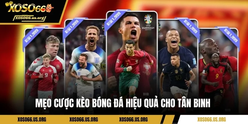 Mẹo cược kèo bóng đá hiệu quả cho tân binh 
