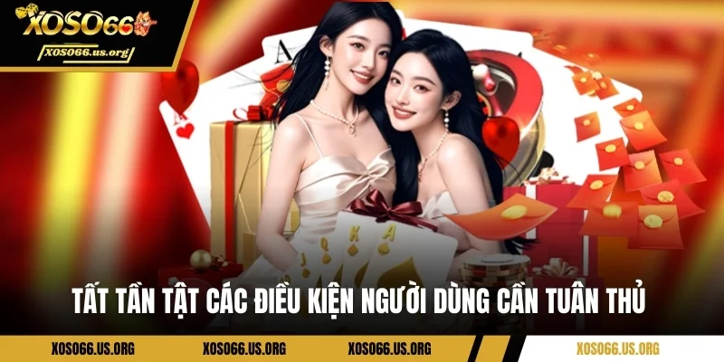 Tất tần tật các điều kiện người dùng cần tuân thủ 