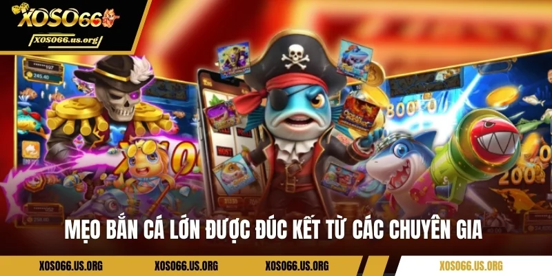 Mẹo bắn cá lớn được đúc kết từ các chuyên gia 