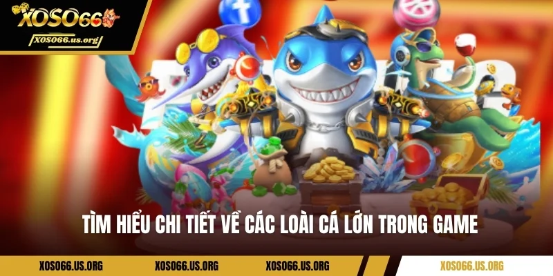 Tìm hiểu chi tiết về các loài cá lớn trong game 