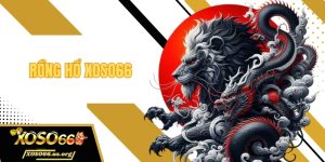 Rồng hổ xoso66