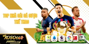 Top nhà cái cá cược thể thao