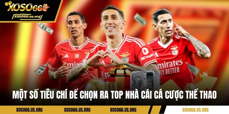 Một số tiêu chí để chọn ra top nhà cái cá cược thể thao