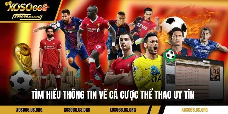 Tìm hiểu thông tin về cá cược thể thao uy tín 