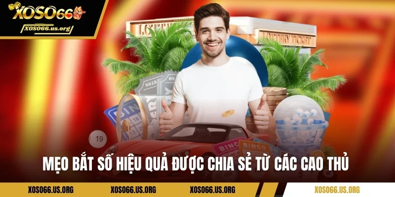 Mẹo bắt số hiệu quả được chia sẻ từ các cao thủ 